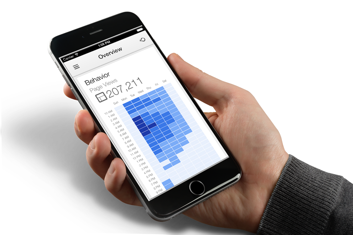 Smartphone showing report of behavioral remarketing data